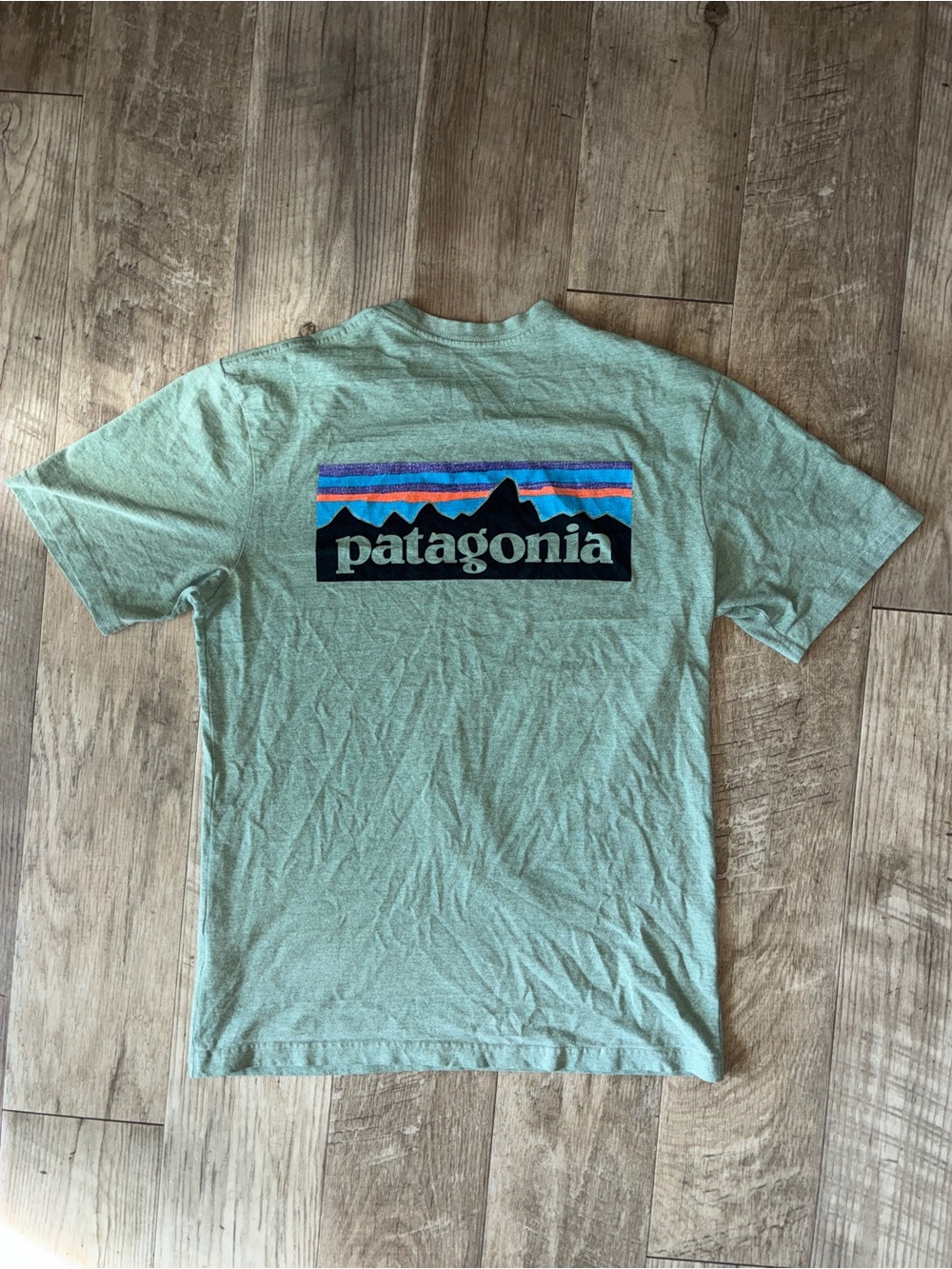 Patagonia graphic tee front and back logo